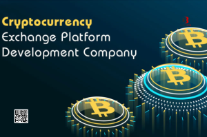 Can we invest in a cryptocurrency exchange development company?
